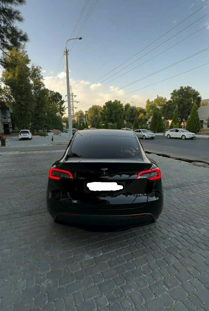 Tesla Model Y Dual Motor