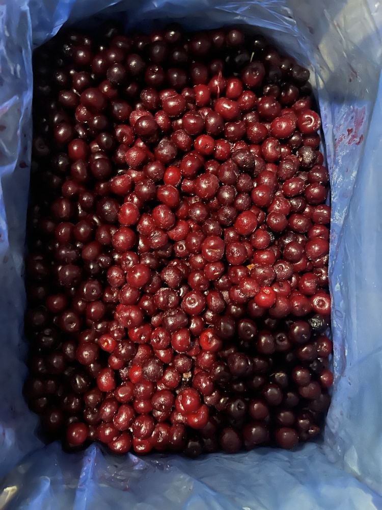 Замороженная вишня