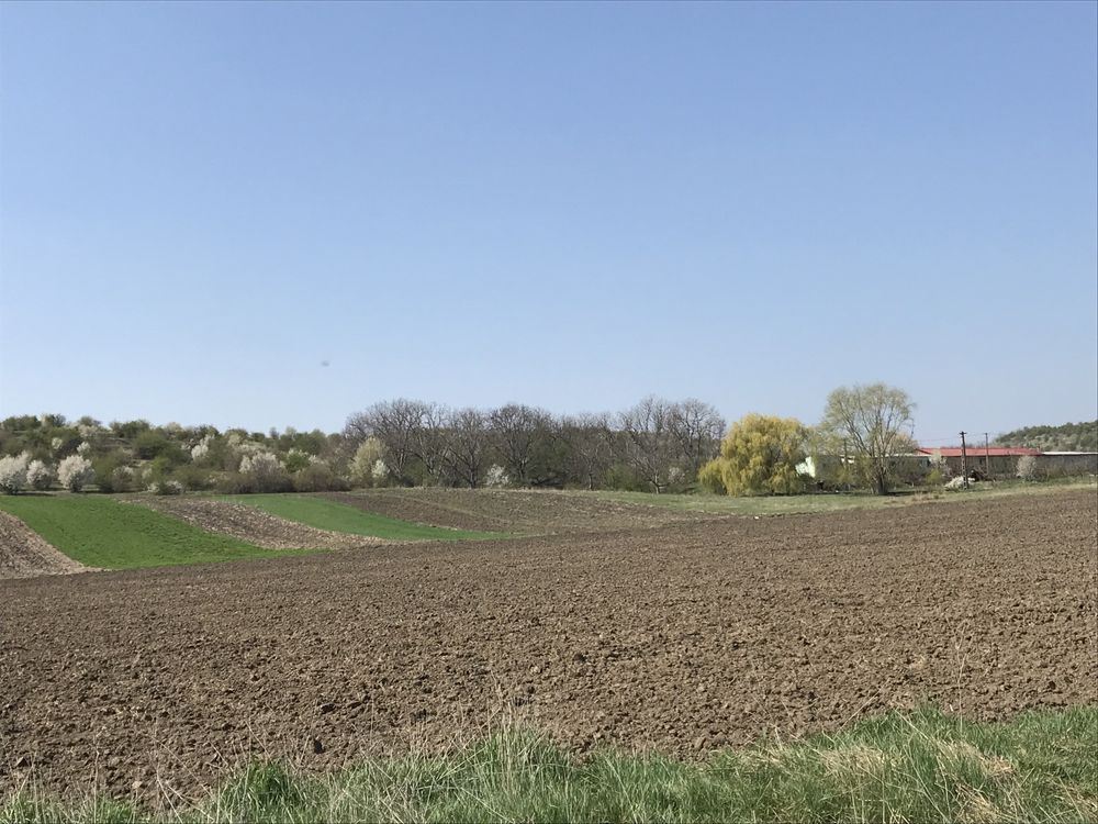 Inchiriez ferma cu suprafata 8 hectare + casa 7 camere