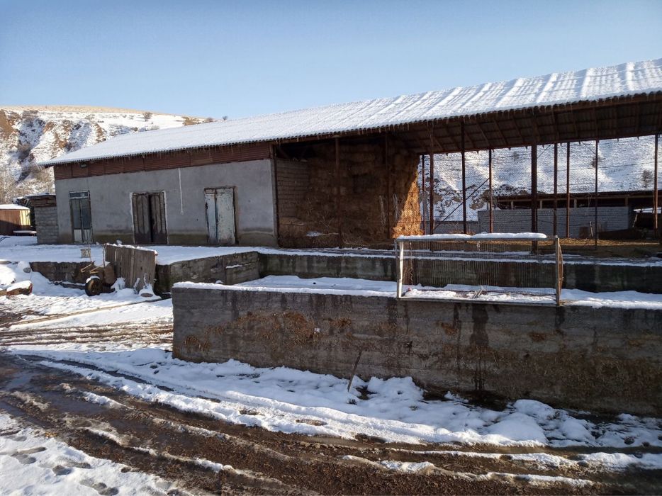 Ферма сотилади Кумушконда