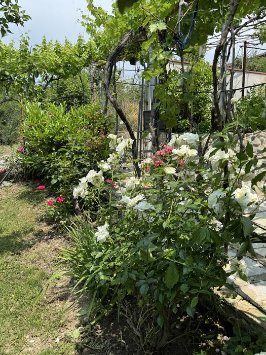 Къща с панорамна гледка