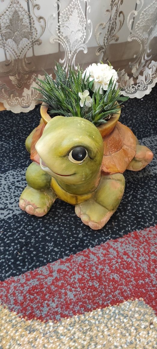 Вазон Черепаха с цветком хавортия