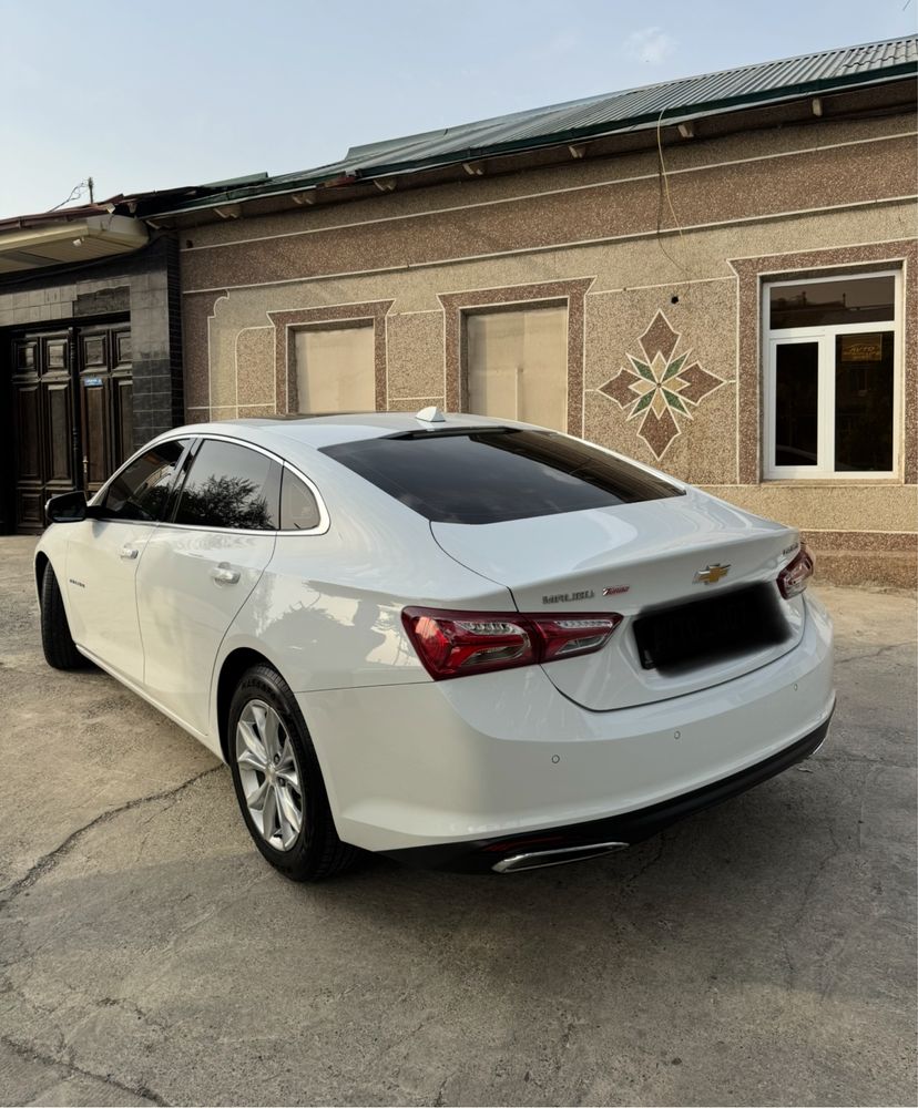 Malibu Pirimer 2020