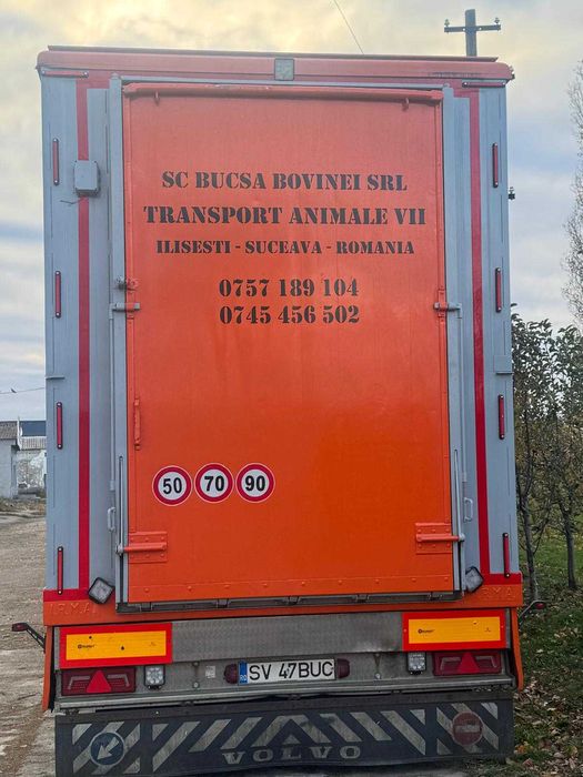 Transport animale vii