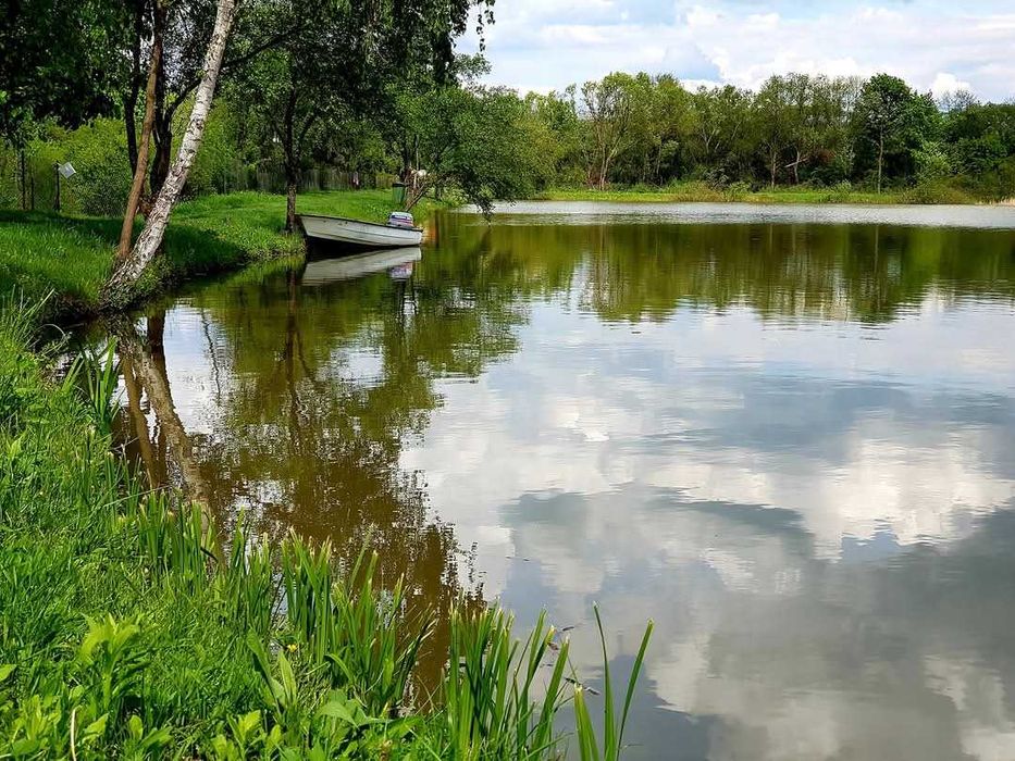 Balta de pescuit Arad - Pescari