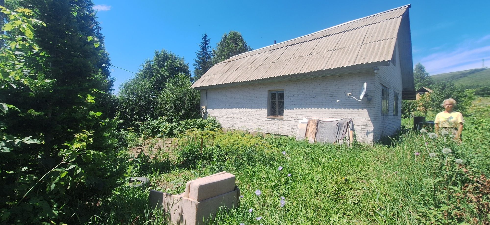 Продам Дом-Дача. С. Топиха