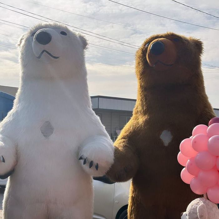 Ayula sotiladi sastayaniya ōrtacha narxi kelishamiza