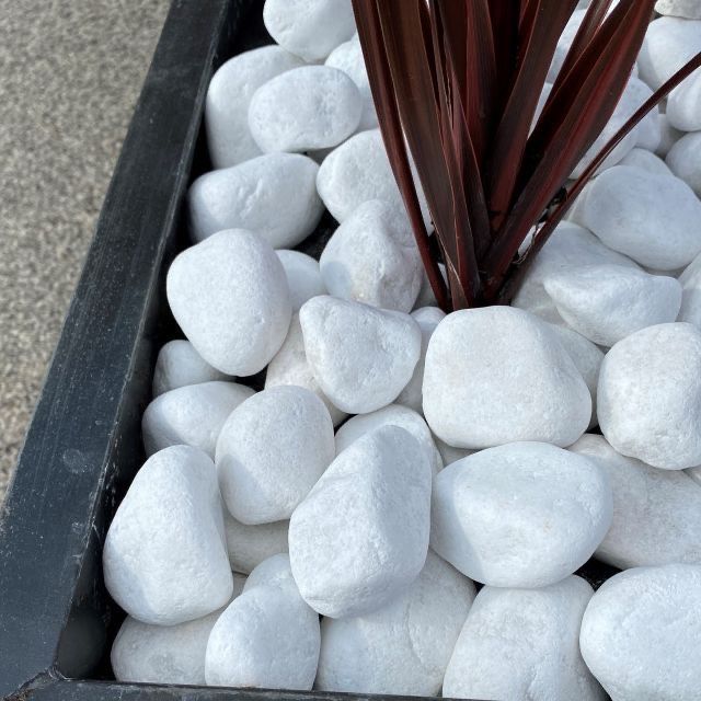 Piatră decorativă marmură albă. Pebbles marmură albă.