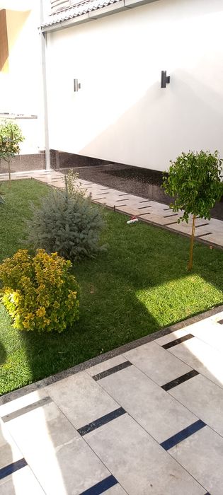 Boğbon xizmati Lashafni dizayin qilish