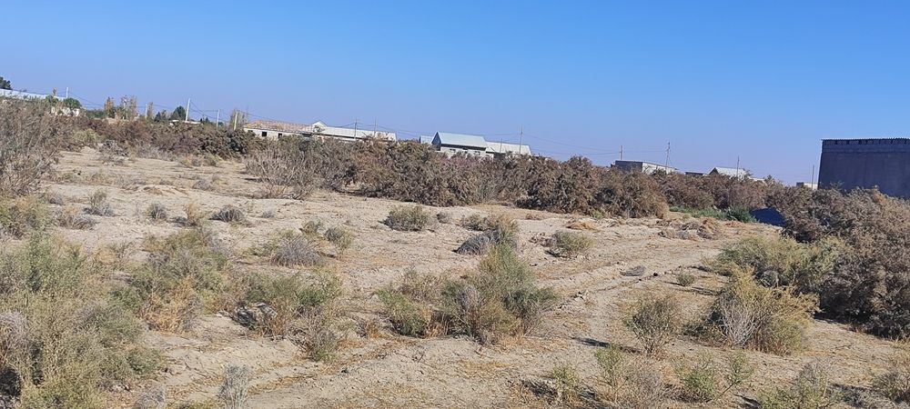 Surxondaryo uchquzilda sotiladigan yer bor