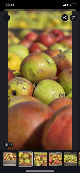 Vand mere de tuica 2025