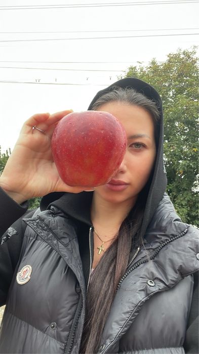 De vânzare mere proaspete, direct din livadă!