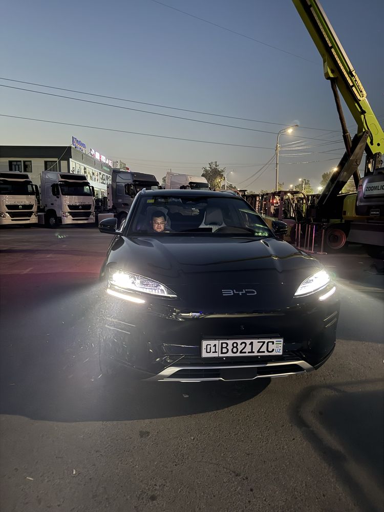 Byd song pyus champion 2025