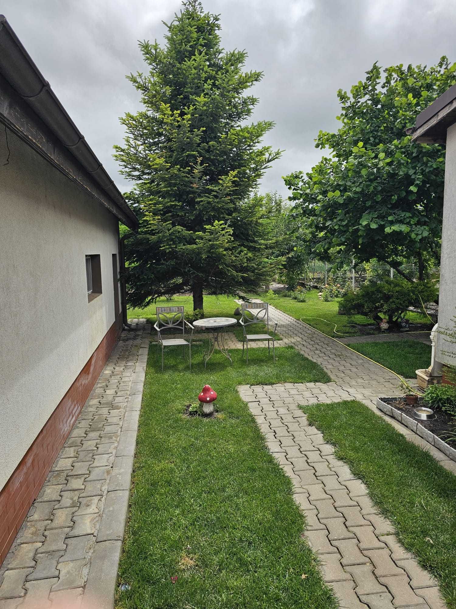 Casa 200 mp,teren 830 mp,3 dormitoare,3 băi–Amara, jud. Ialomița