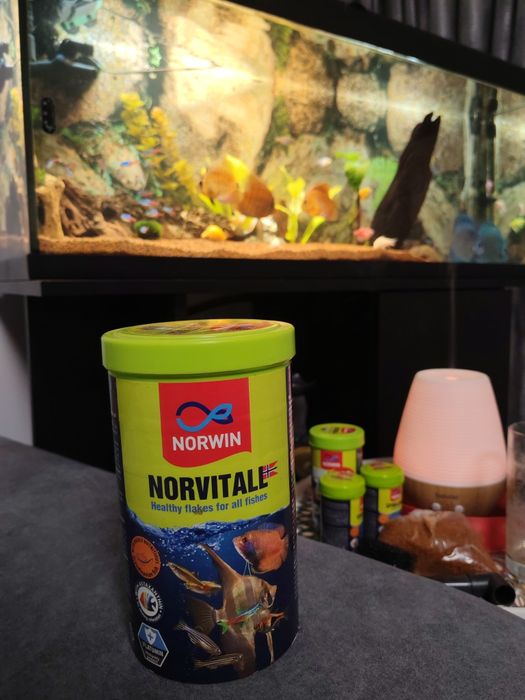 Hrana pt toate tipurile de pești exotici(Norvitall de la Norwin)