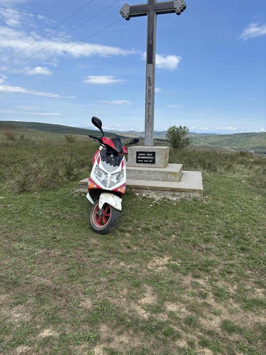 Pgo g-max 50 5 0 cc 2009