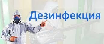 Дезинфекция, дезинсекция и дератизация.