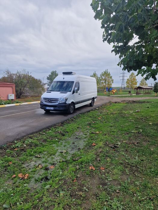 Mercedes Sprinter 313