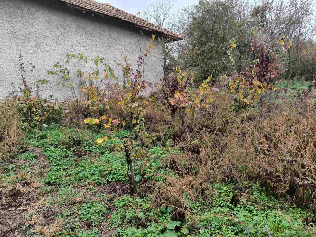Продава се Къща в с. Благоево, Област Разград - 140 кв.м за 200 €/кв.м - Снимка #12