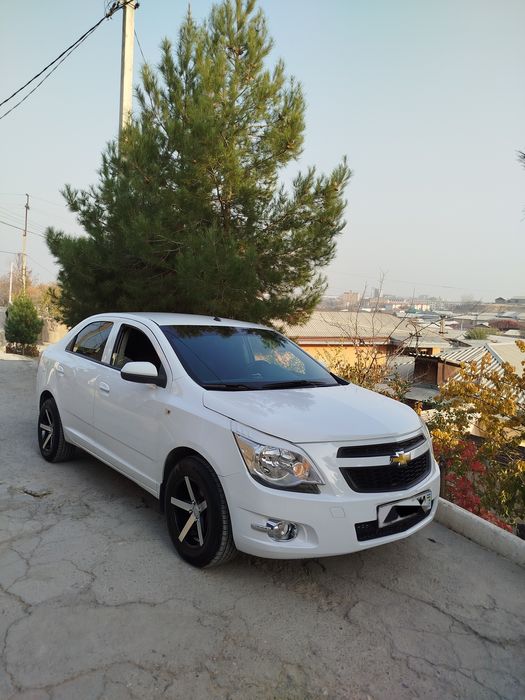 Kobalt navarot qilingan gazi bor 4 pok