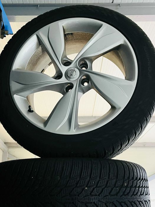 Roti, Opel Insignia B, Nokian WR Snowprof, 245/45/18