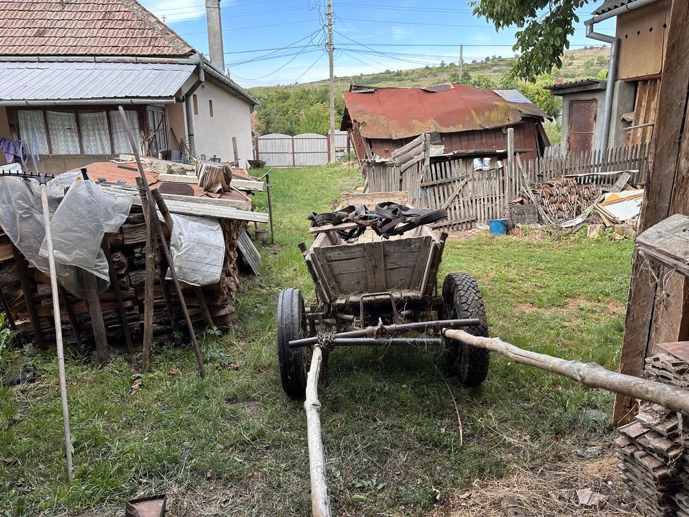 Vând căruță si ham