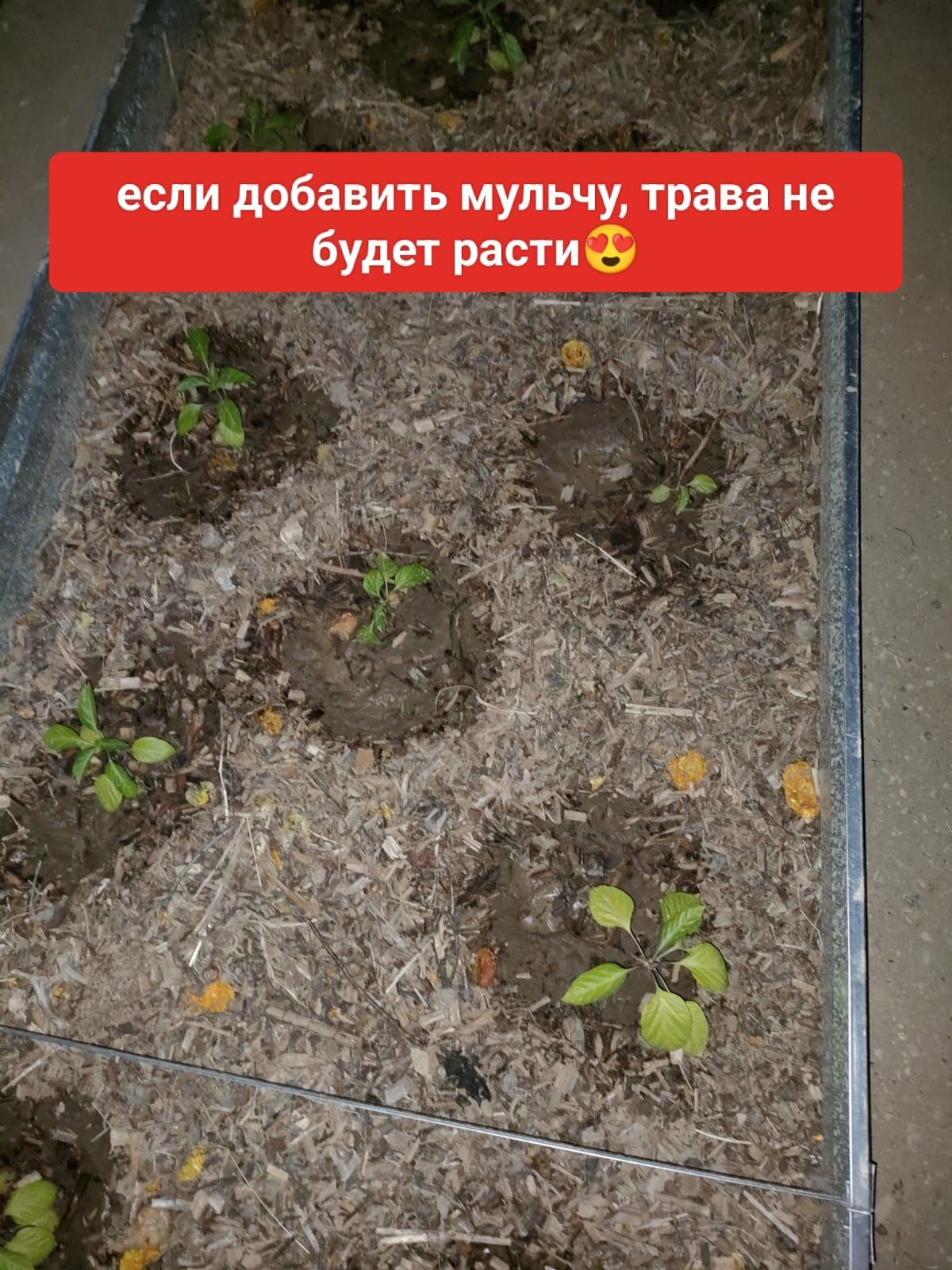 Продам дачу на спутнике