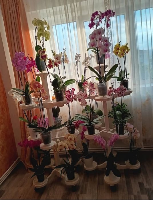 Suport 13  flori,nou