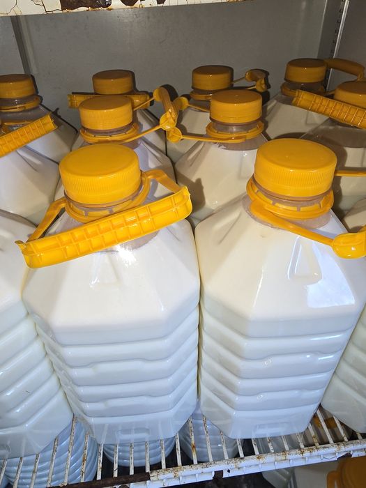 Молочная  продукция домашняя