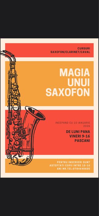 Cursuri Saxofon/clarinet/Caval