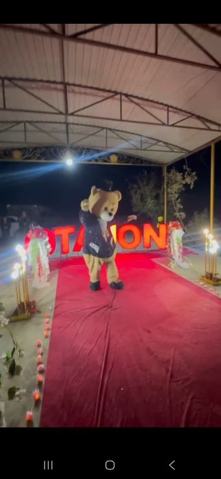 Dekorasiya xizmati---yaxshi kunlarda