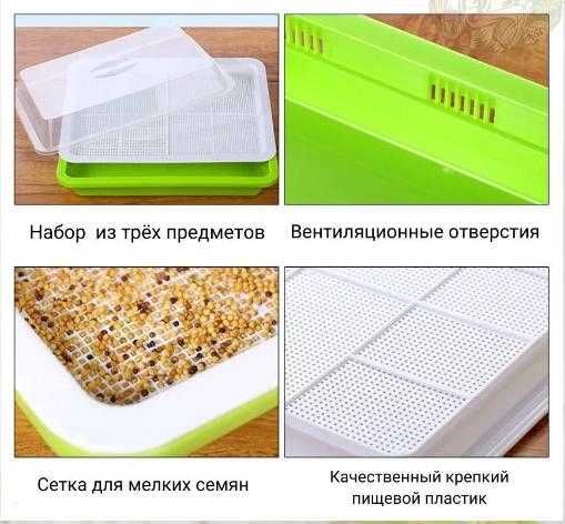 Проращиватель для микрозелени.