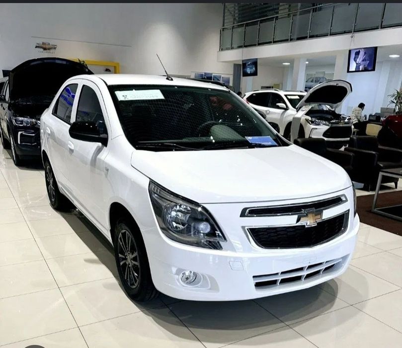 Cobalt midniht xalol nasiya savdaga akiya