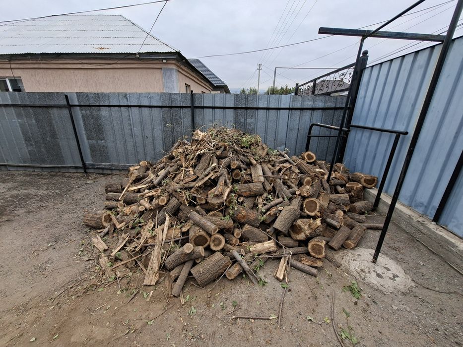 Дрова Карагач 7-8 кубов