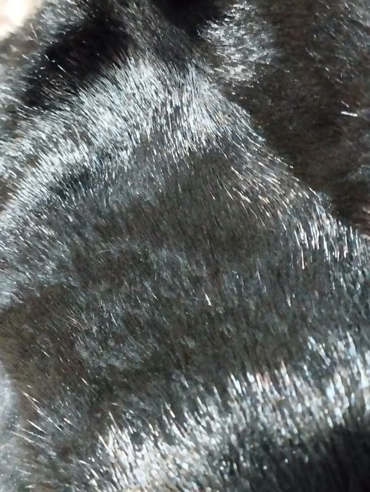 Продаю шубу норковую