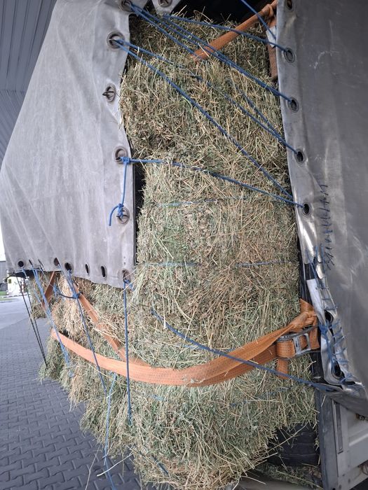 Vand baloti de Lucerna fan productie 2025 transport la domicilu