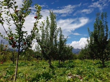 Mar Deosebit ( Soiul Black Diamond )