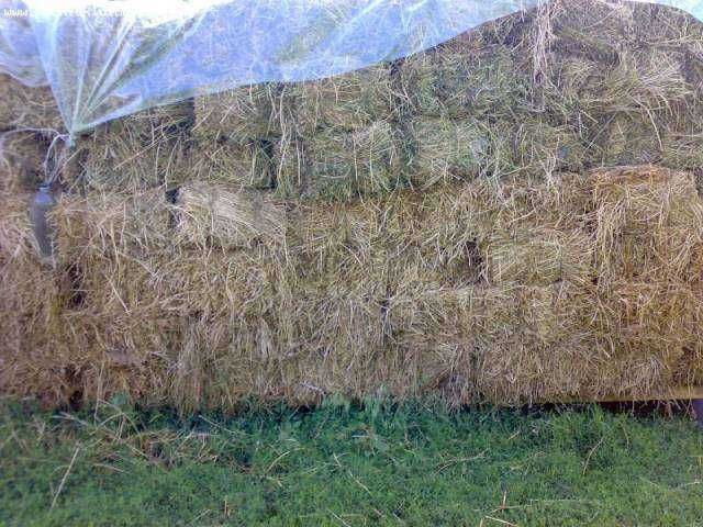 Baloti paie dreptunghiulari