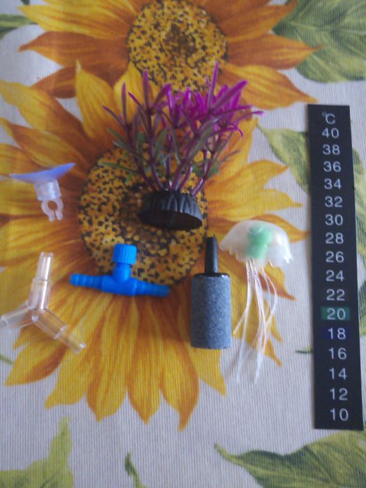 Аксесоари за аквариум (термометър, лакмусова хартия, камъче за въздух)