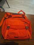 Geanta umar Gregory Graph 12, Flame Red