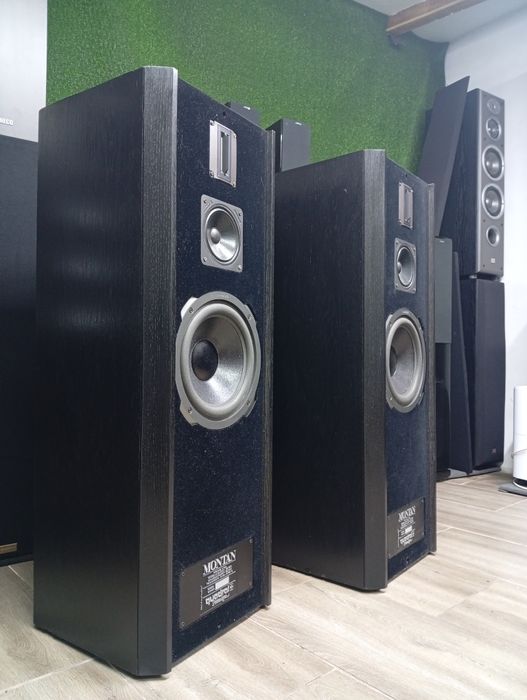 Тонколони QUADRAL Montan Mk-II