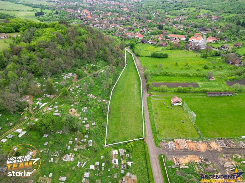 FILM! Teren intravilan,  6.500 mp, Papauti, Covasna