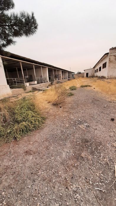 Срочно продаётся Туйтепа Нурафшон 4 5-гектар коммерческие помещения