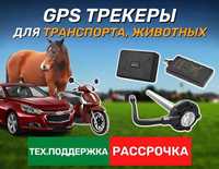 GPS трекеры оптом для животных,лошадей / транспорта,грузовиков,авто