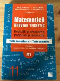 Breviar Teoretic Matematica Clasa a XI-a, Real, Matematica-Informatica