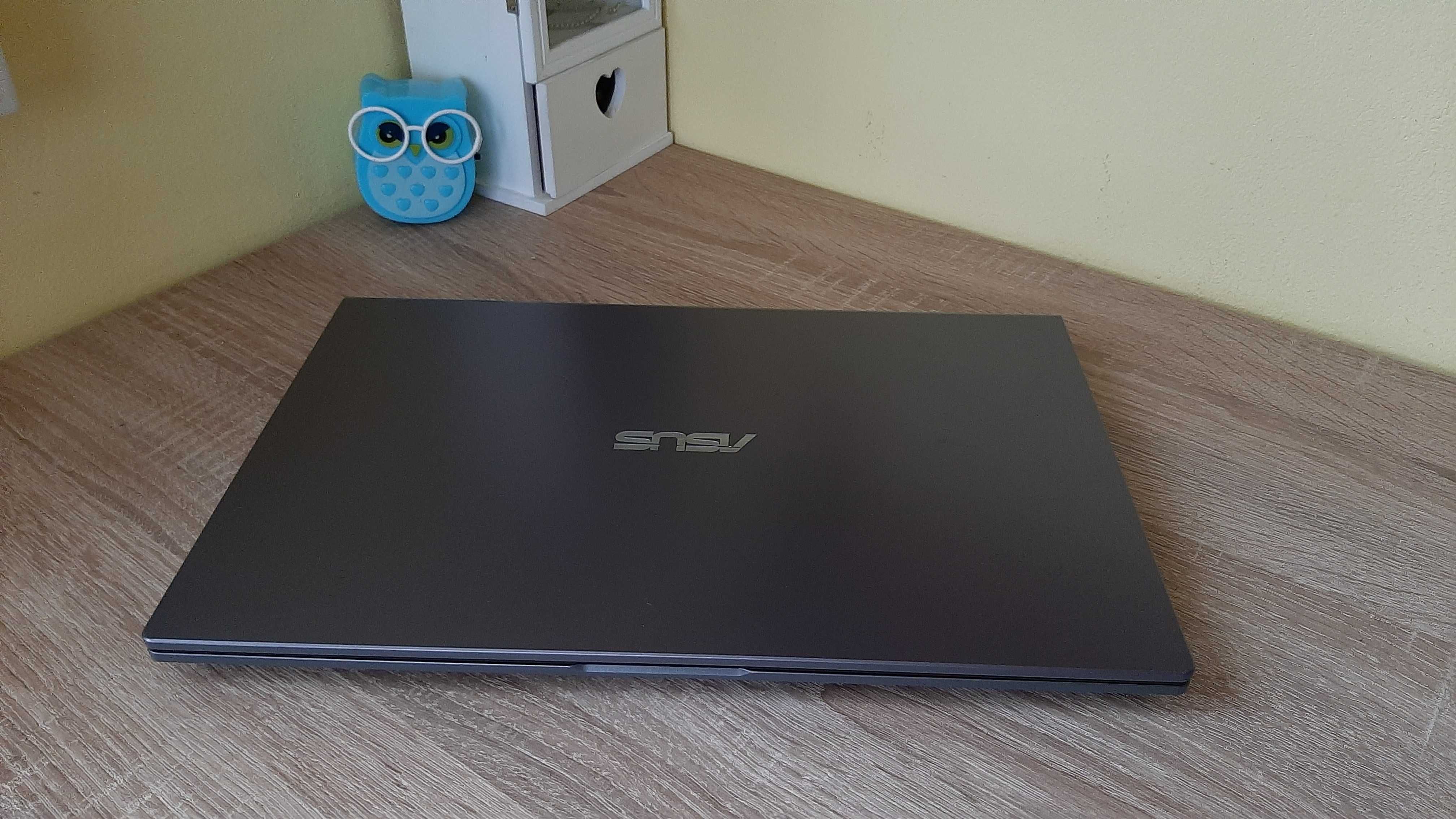 ASUS i5 10th gen / 8gb ddr4 / 1TB HDD / NVIDIA GeForce MX 110 2G