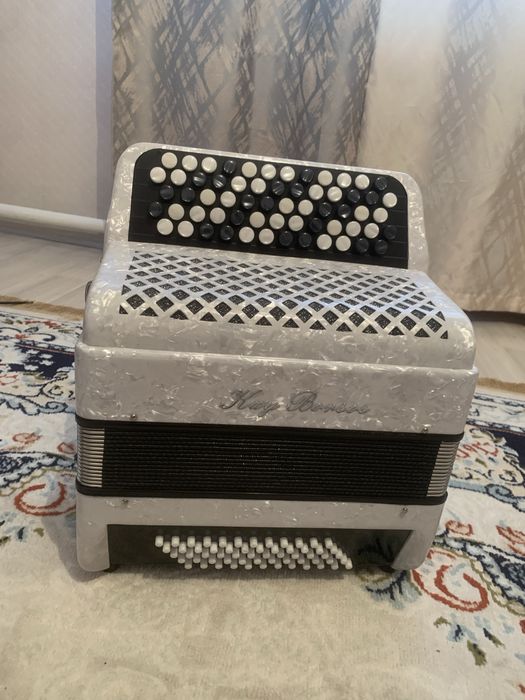 Баян ученический новый