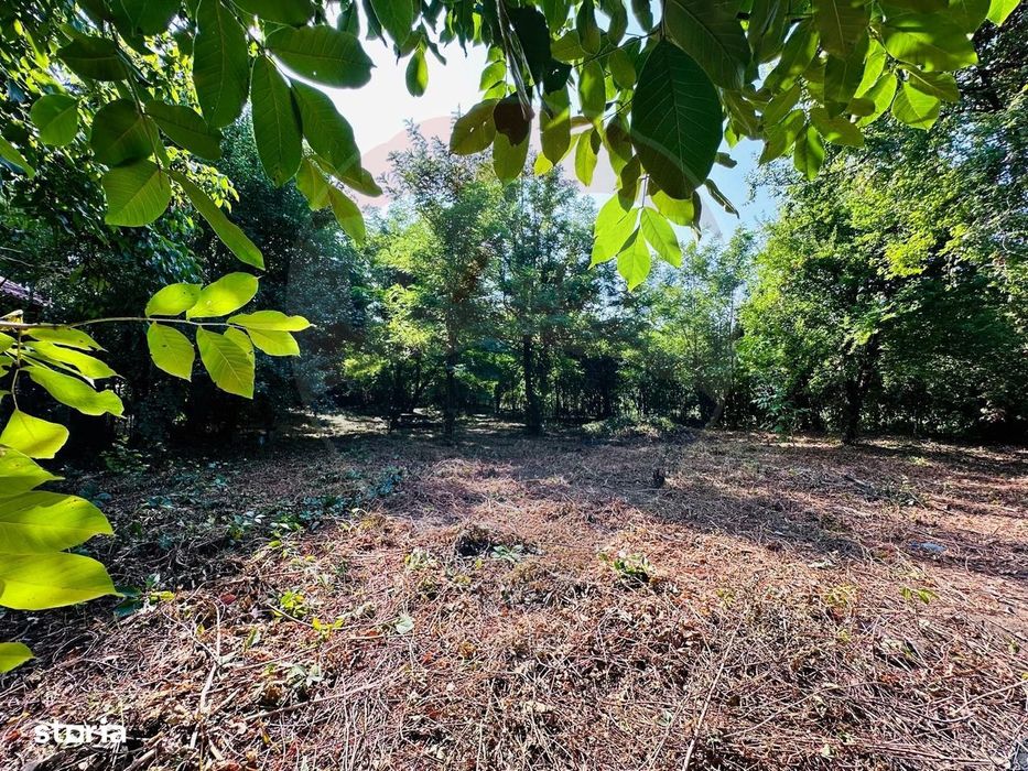 Teren intravilan 1500mp in Livedea, Ialomita