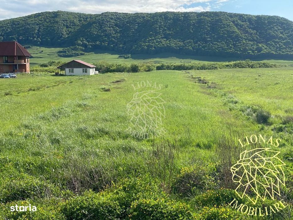 Teren intravilan-Crainimat -3000mp-ideal investitie construire casa
