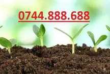 Pamant negru vegetal pentru gazon, gradina